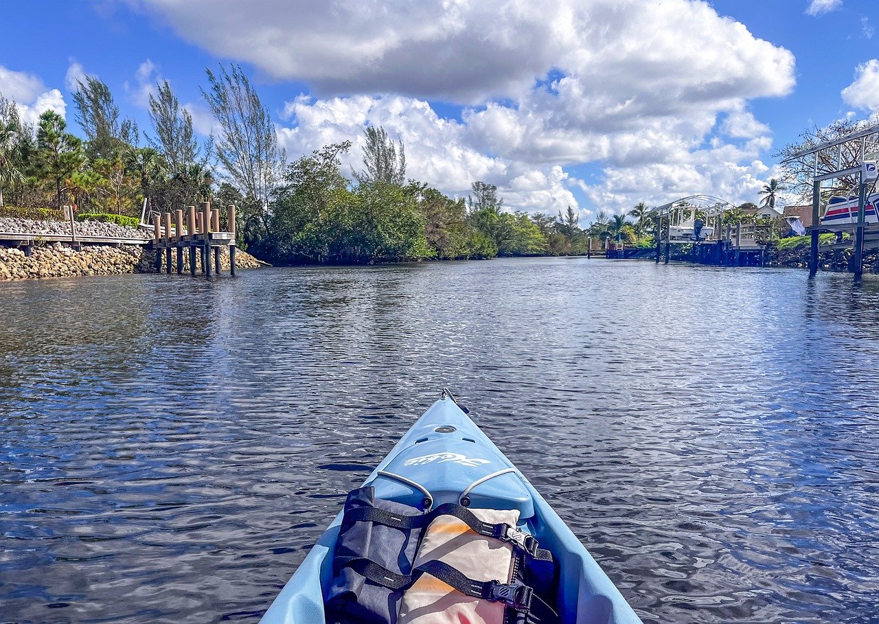 Exploring the Unique Flora of the Florida Everglades